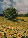Tuscan Sunflowers II