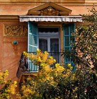 Momosa at the Window