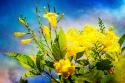Flowers on Watercolor II