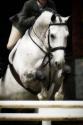 Jumping Hunter I