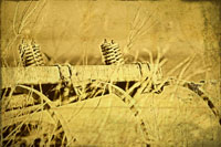 Farm Implement