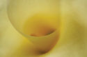 Tender Moments I